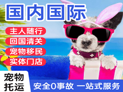 乌兰察布航空物流国际宠物托运 【国